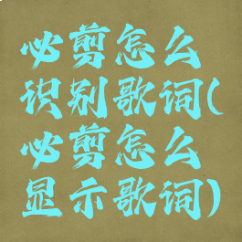 必剪怎么识别歌词(必剪怎么显示歌词)