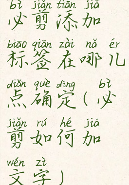 必剪添加标签在哪儿点确定(必剪如何加文字)