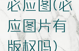 必应图(必应图片有版权吗)