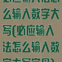 必应输入法怎么输入数字大写(必应输入法怎么输入数字大写字母)