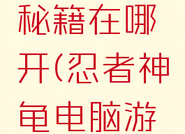 忍者神龟单机游戏秘籍在哪开(忍者神龟电脑游戏通关攻略)