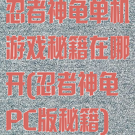 忍者神龟单机游戏秘籍在哪开(忍者神龟PC版秘籍)