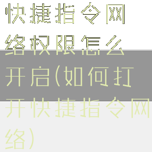 快捷指令网络权限怎么开启(如何打开快捷指令网络)