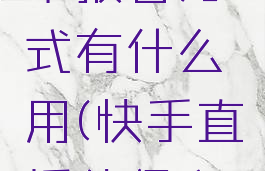快手直播伴侣心愿单报答方式有什么用(快手直播伴侣心愿单怎么设置)