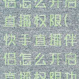 快手直播伴侣怎么开启直播权限(快手直播伴侣怎么开启直播权限功能)