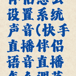 快手直播伴侣怎么设置系统声音(快手直播伴侣语音直播怎么调节系统声音)