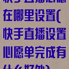 快手直播心愿在哪里设置(快手直播设置心愿单完成有什么好处)