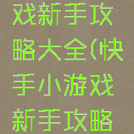 快手小游戏新手攻略大全(快手小游戏新手攻略大全视频)