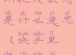 快手怎么关闭在线状态是什么意思(快手里设置关闭在线状态)