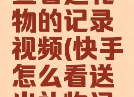 快手怎么查看送礼物的记录视频(快手怎么看送出礼物记录)