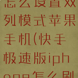 快手极速版怎么设置双列模式苹果手机(快手极速版iphone怎么刷)