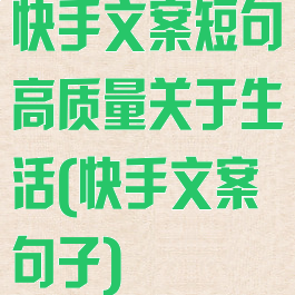 快手文案短句高质量关于生活(快手文案句子)