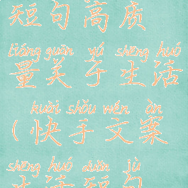 快手文案短句高质量关于生活(快手文案生活短句伤感)