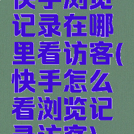 快手浏览记录在哪里看访客(快手怎么看浏览记录访客)