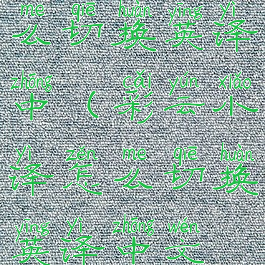 彩云小译怎么切换英译中(彩云小译怎么切换英译中文模式)