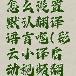 彩云小译怎么设置默认翻译语言呢(彩云小译启动视频翻译)