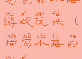 彩色的小路游戏玩法(描写小路的游戏)