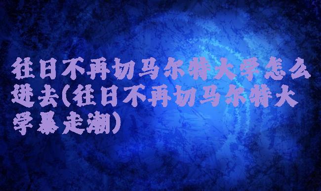往日不再切马尔特大学怎么进去(往日不再切马尔特大学暴走潮)