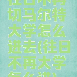 往日不再切马尔特大学怎么进去(往日不再大学怎么进)