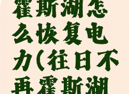 往日不再霍斯湖怎么恢复电力(往日不再霍斯湖发电机)