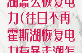 往日不再霍斯湖怎么恢复电力(往日不再霍斯湖恢复电力有暴走潮怎么办)