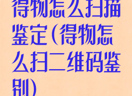 得物怎么扫描鉴定(得物怎么扫二维码鉴别)