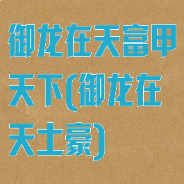 御龙在天富甲天下(御龙在天土豪)