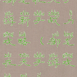 御龙在天手游新手战力攻略(御龙在天手游攻略秘籍)