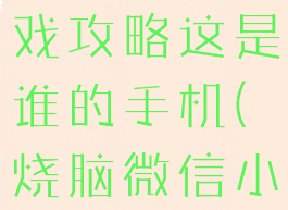 微信烧脑游戏攻略这是谁的手机(烧脑微信小游戏)