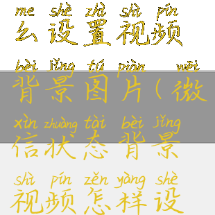 微信状态怎么设置视频背景图片(微信状态背景视频怎样设置)