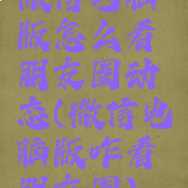 微信电脑版怎么看朋友圈动态(微信电脑版咋看朋友圈)