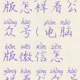 微信电脑版怎样看公众号(电脑版微信怎样看公众号啊)