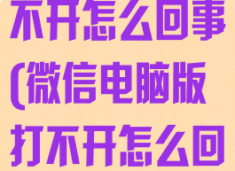 微信电脑版打不开怎么回事(微信电脑版打不开怎么回事儿)