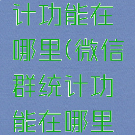微信群统计功能在哪里(微信群统计功能在哪里打开)