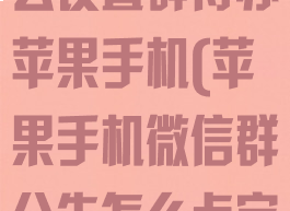 微信群公告怎么设置群待办苹果手机(苹果手机微信群公告怎么点完成)