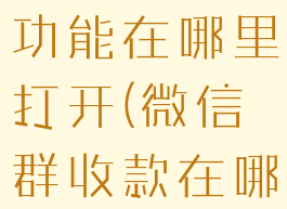 微信群收款功能在哪里打开(微信群收款在哪里呀)