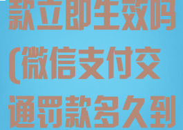 微信交交通罚款立即生效吗(微信支付交通罚款多久到账)