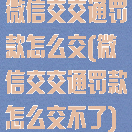 微信交交通罚款怎么交(微信交交通罚款怎么交不了)