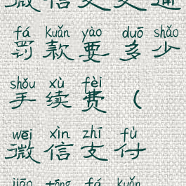 微信交交通罚款要多少手续费(微信支付交通罚款)