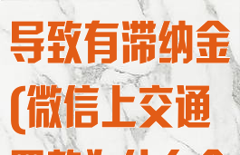 微信交交通罚款遇系统维护导致有滞纳金(微信上交通罚款为什么会有服务费)
