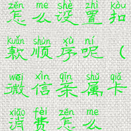 微信亲属卡怎么设置扣款顺序呢(微信亲属卡消费怎么设置)