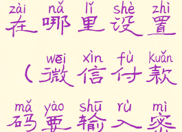 微信付款码免密支付在哪里设置(微信付款码要输入密码怎么取消)