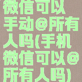 微信可以手动@所有人吗(手机微信可以@所有人吗)
