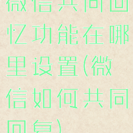 微信共同回忆功能在哪里设置(微信如何共同回复)