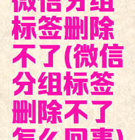 微信分组标签删除不了(微信分组标签删除不了怎么回事)
