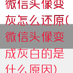 微信头像变灰怎么还原(微信头像变成灰白的是什么原因)