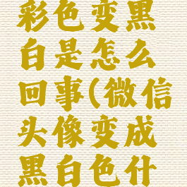 微信头像彩色变黑白是怎么回事(微信头像变成黑白色什么意思)