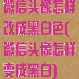 微信头像怎样改成黑白色(微信头像怎样变成黑白)