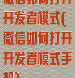 微信如何打开开发者模式(微信如何打开开发者模式手机)