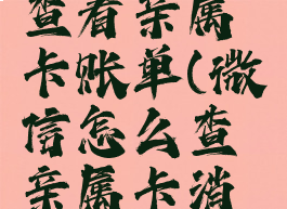 微信如何查看亲属卡账单(微信怎么查亲属卡消费记录)